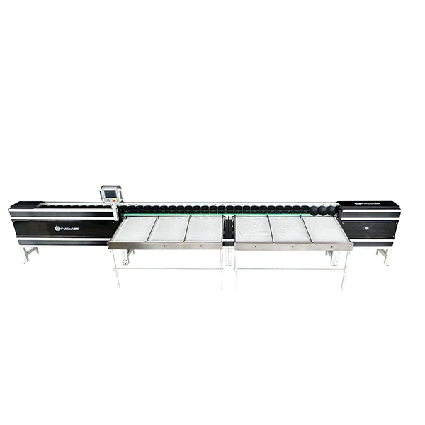 Manual Fruit Loading sorter